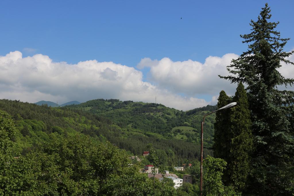 Dilijan Garden House Villa ภายนอก รูปภาพ